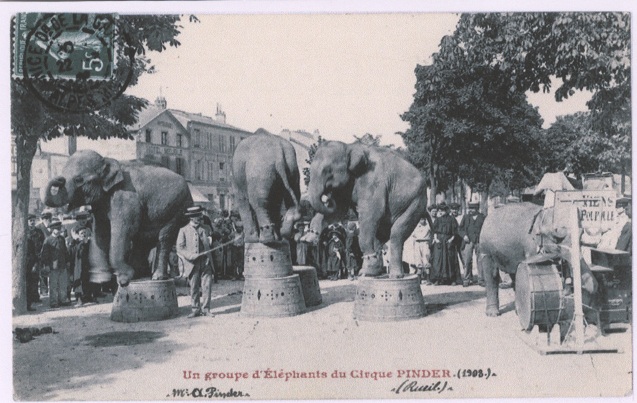 Le grand Cirque "Pinder" s'installe à Pontoise pour le plus grand plaisir des habitants